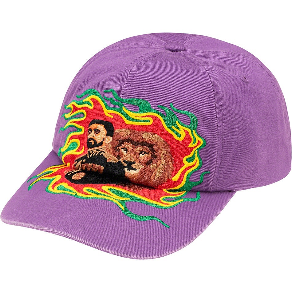 Lion of Judah 6-Panel view 3